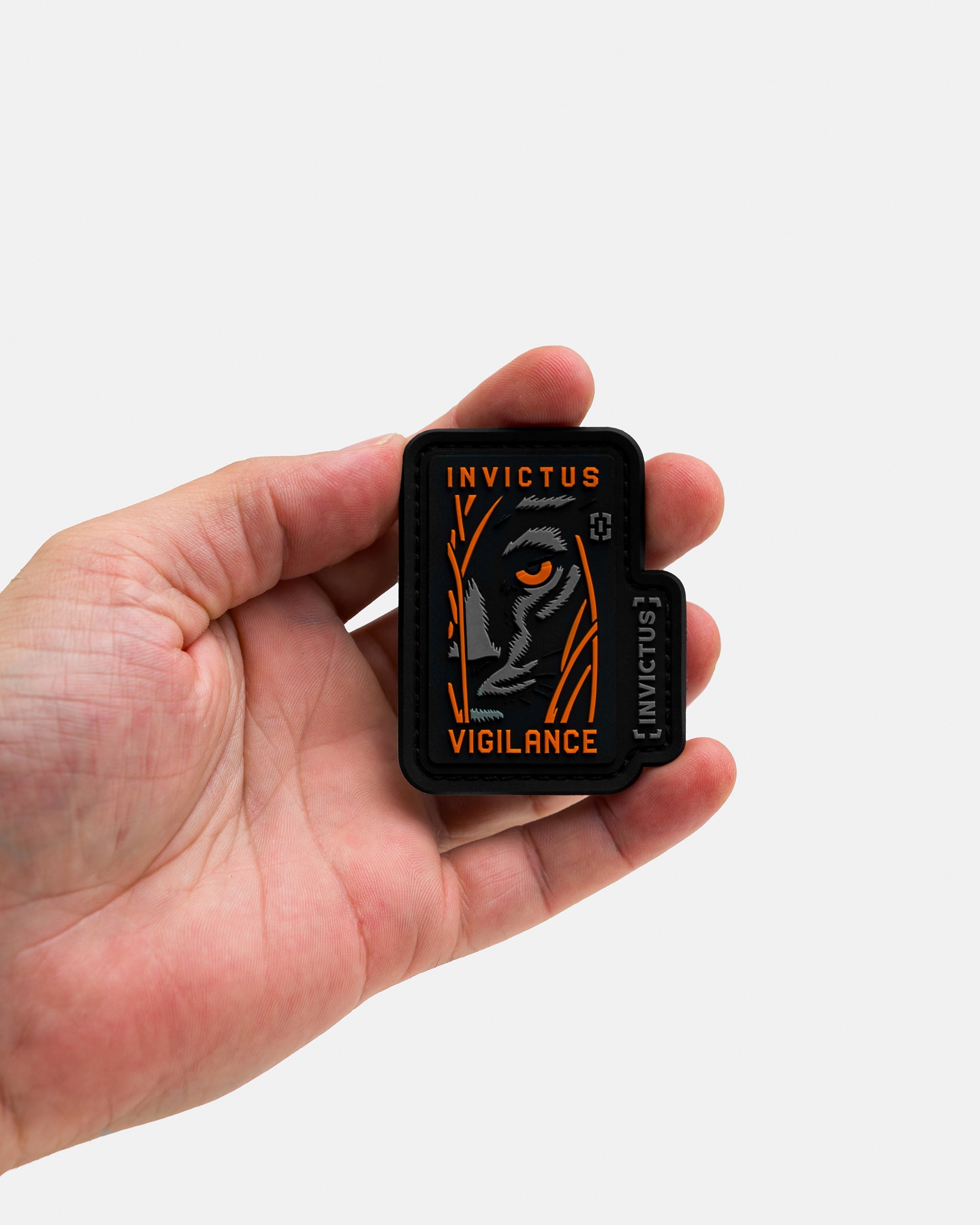 Patch Eternal Vigilance – 10 Years of Discipline